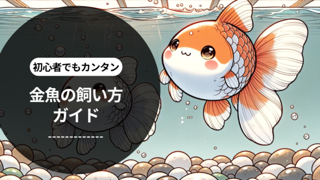 金魚の飼い方