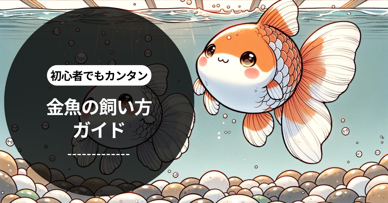 金魚の飼い方